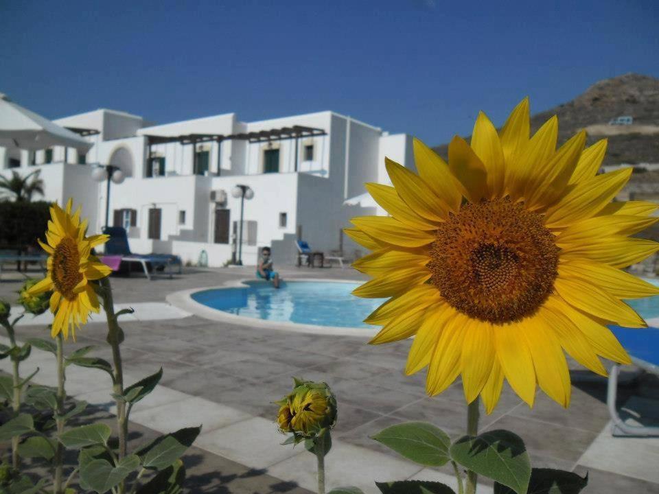 Delight Apartments Suites ستيليدا المظهر الخارجي الصورة
